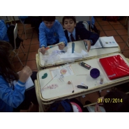 Proyecto de 6to. grado A y B: LA CÉLULA, ORIGEN DE LA VIDA